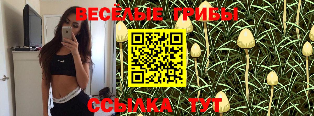 Галлюциногенные грибы Psilocybine cubensis Анапа
