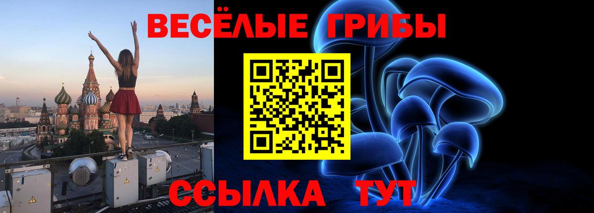 Псилоцибиновые грибы Psilocybe  Вход с VPN  Анапа 