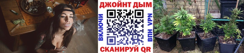 omg вход  Анапа  Конопля семена 